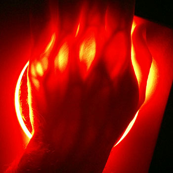 Types of Red Light Therapy